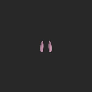 extracted_top_3.png