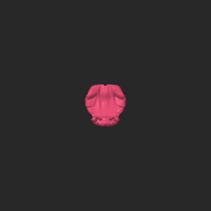 extracted_top_1_24.png