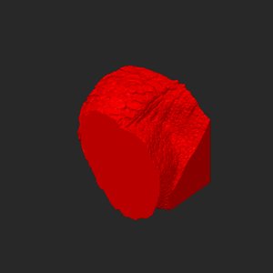 extracted_plate_3.png