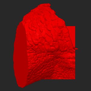 extracted_top_3.png