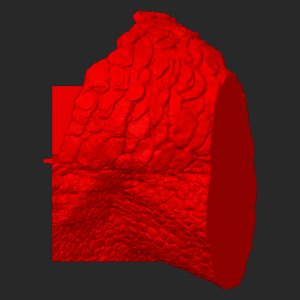 extracted_top_4.png