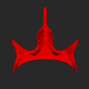 extracted_top_14.png