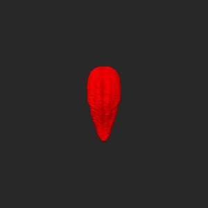 extracted_top_18.png