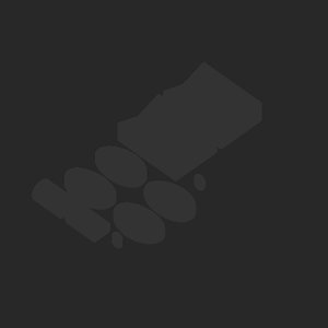 extracted_plate_no_light_1_9.png