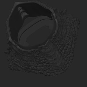 extracted_top_1_1.png