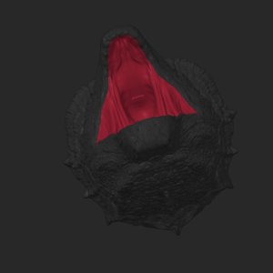 extracted_top_4_1.png