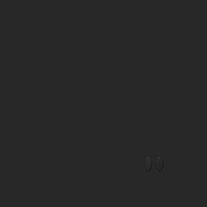 extracted_top_1.png