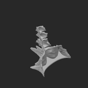 extracted_plate_7_2.png