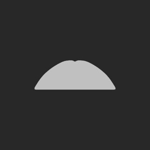 extracted_plate_no_light_8_2.png