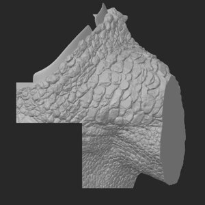 extracted_top_3_2.png