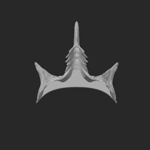 extracted_top_7_2.png