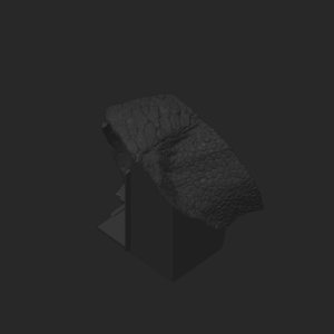 extracted_plate_4_3.png