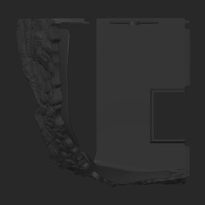 extracted_top_2_3.png