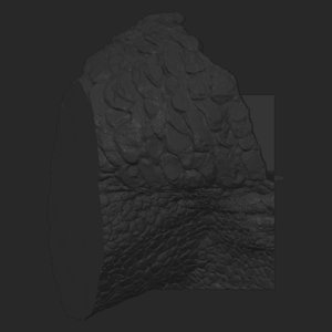 extracted_top_3_3.png