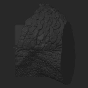 extracted_top_4_3.png