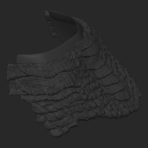 extracted_top_10_3.png