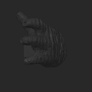 extracted_top_12_3.png
