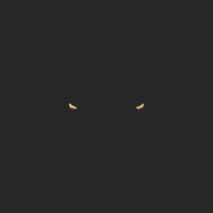 extracted_top_16_1.png