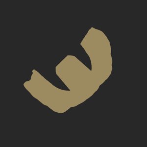extracted_plate_no_light_4.png