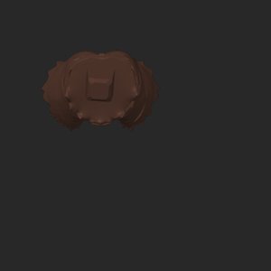 extracted_top_3.png