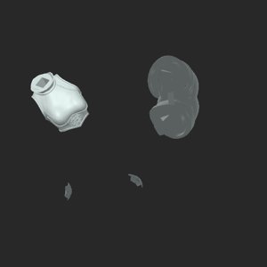 extracted_top_1.png