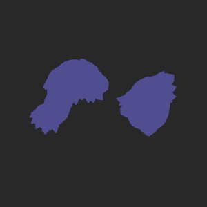 extracted_plate_no_light_1.png