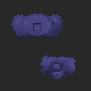 extracted_top_1.png