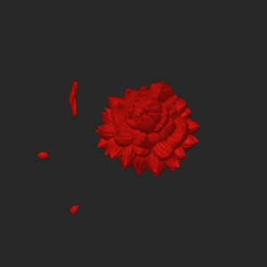 extracted_top_2_1.png