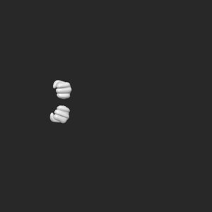 extracted_top_1.png