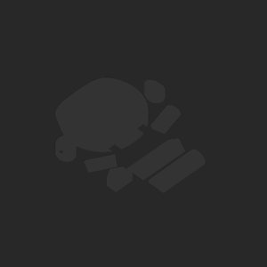 extracted_plate_no_light_1_9.png