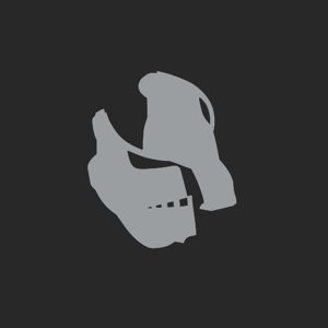 extracted_plate_no_light_1.png