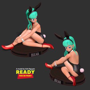 extracted_Bulma Sitting On The Floor 005.jpeg