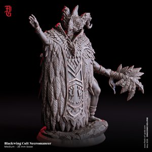 extracted_b48-single-enemy-blackwing-cult-necromancer.jpg