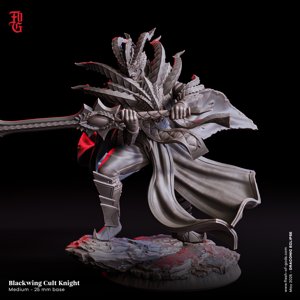 extracted_b48-single-enemy-blackwing-cult-knight_1.jpg