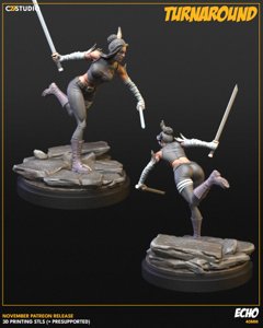 extracted_Echo - Turnaround 02.png
