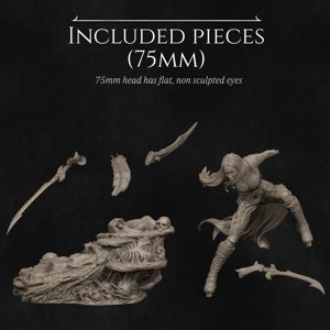 extracted_Sizes-2.jpg
