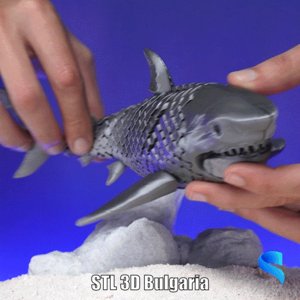 extracted_3d-bg.gif