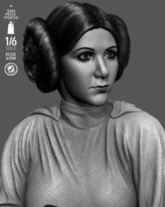extracted_301225 Star Wars - Leia Sculpt Image 001.jpg