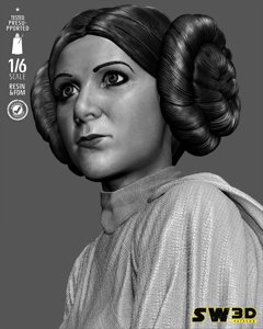 extracted_301225 Star Wars - Leia Sculpt Image 002.jpg