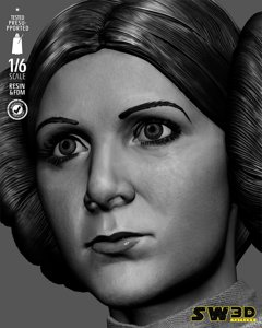 extracted_301225 Star Wars - Leia Sculpt Image 003.jpg