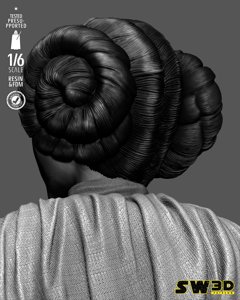extracted_301225 Star Wars - Leia Sculpt Image 004.jpg