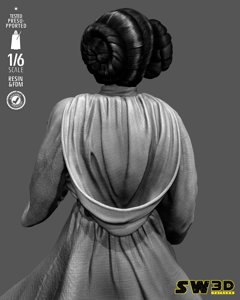 extracted_301225 Star Wars - Leia Sculpt Image 005.jpg