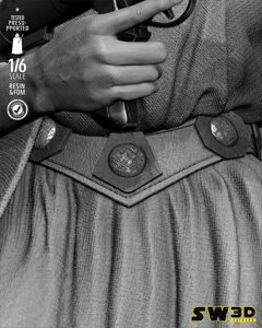 extracted_301225 Star Wars - Leia Sculpt Image 006.jpg