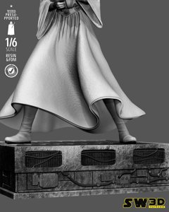 extracted_301225 Star Wars - Leia Sculpt Image 008.jpg