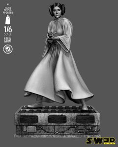extracted_301225 Star Wars - Leia Sculpt Image 010.jpg