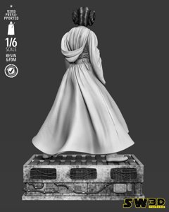 extracted_301225 Star Wars - Leia Sculpt Image 011.jpg