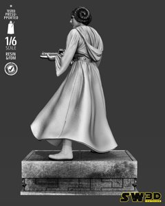 extracted_301225 Star Wars - Leia Sculpt Image 012.jpg