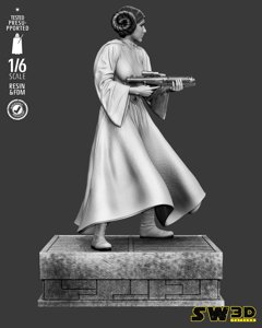 extracted_301225 Star Wars - Leia Sculpt Image 013.jpg