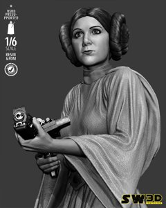 extracted_301225 Star Wars - Leia Sculpt Image 015.jpg