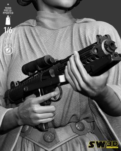 extracted_301225 Star Wars - Leia Sculpt Image 016.jpg
